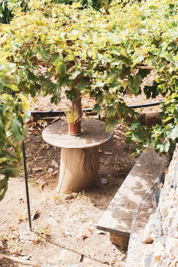 Casa Rural El Hornillo バジェエルモソ エクステリア 写真